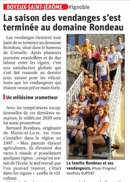 Vendanges Domaine Rondeau 2020