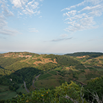 Vignes Cornelle